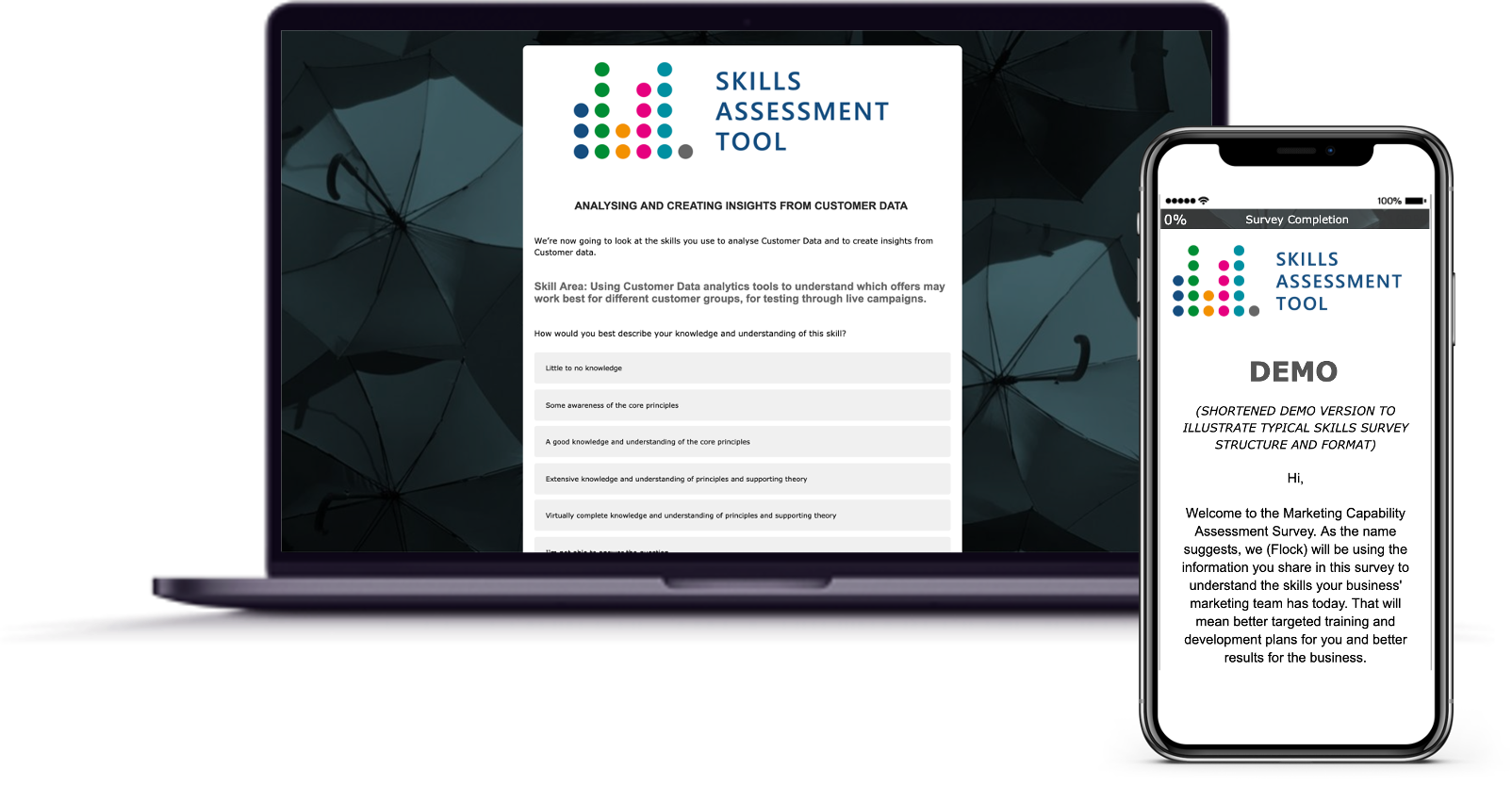 skills assessment tool png